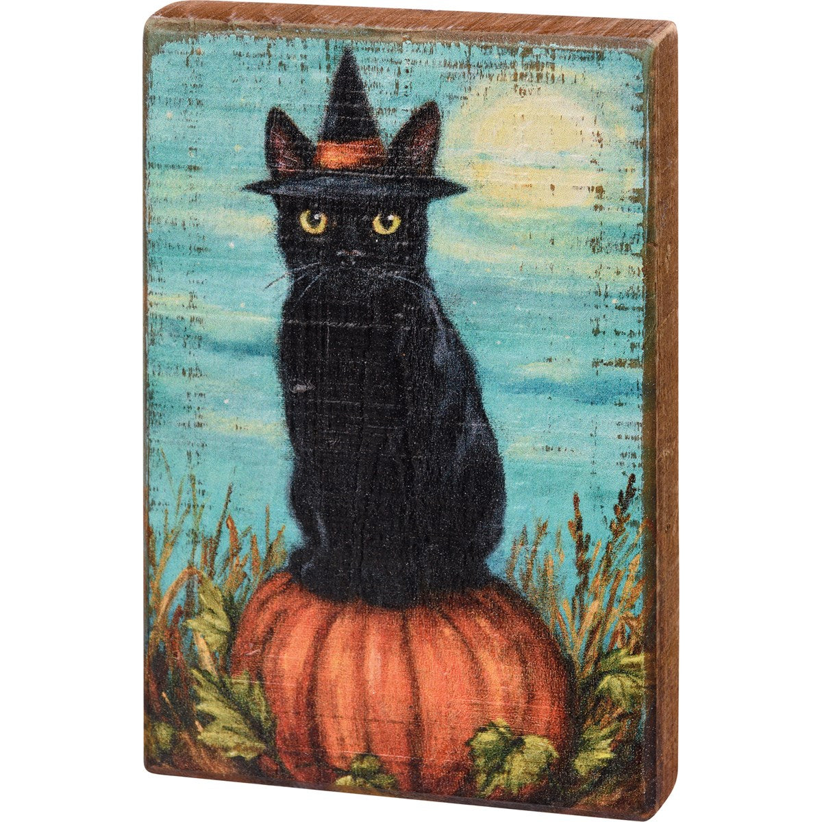 Cat Witch Block Sign