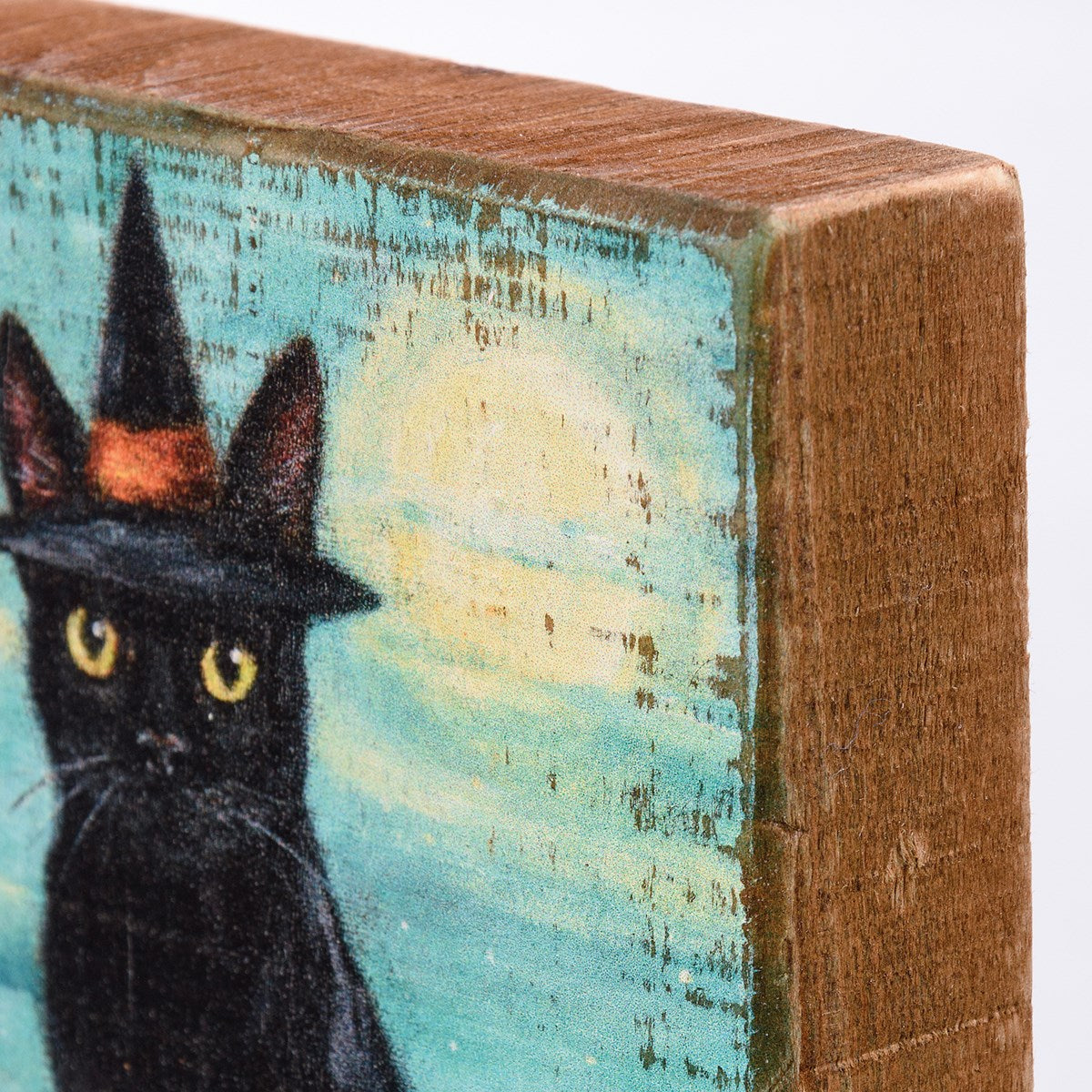 Cat Witch Block Sign