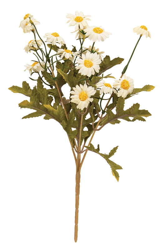 Mini Country Daisy Spray