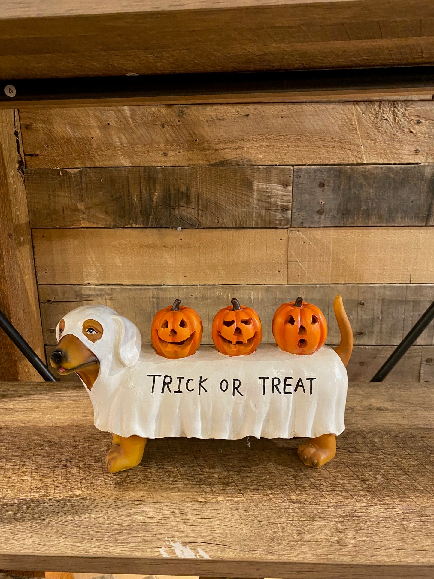 Halloween Light Up Dog
