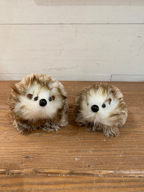 Holiday Hedgehog, 2 styles