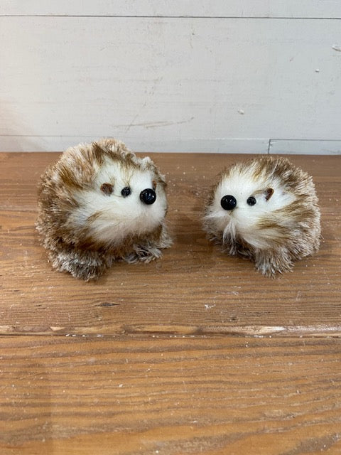 Holiday Hedgehog, 2 styles