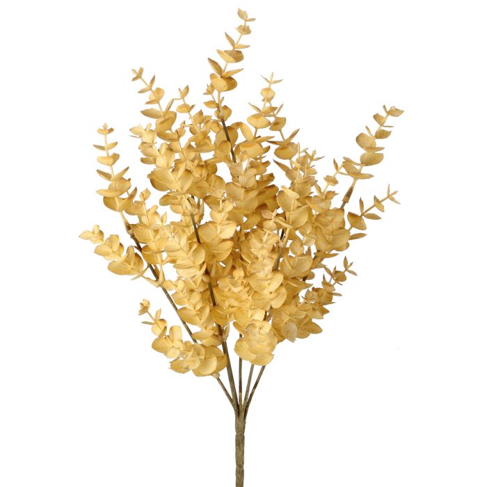 Autumn Eucalyptus Bush, Natural