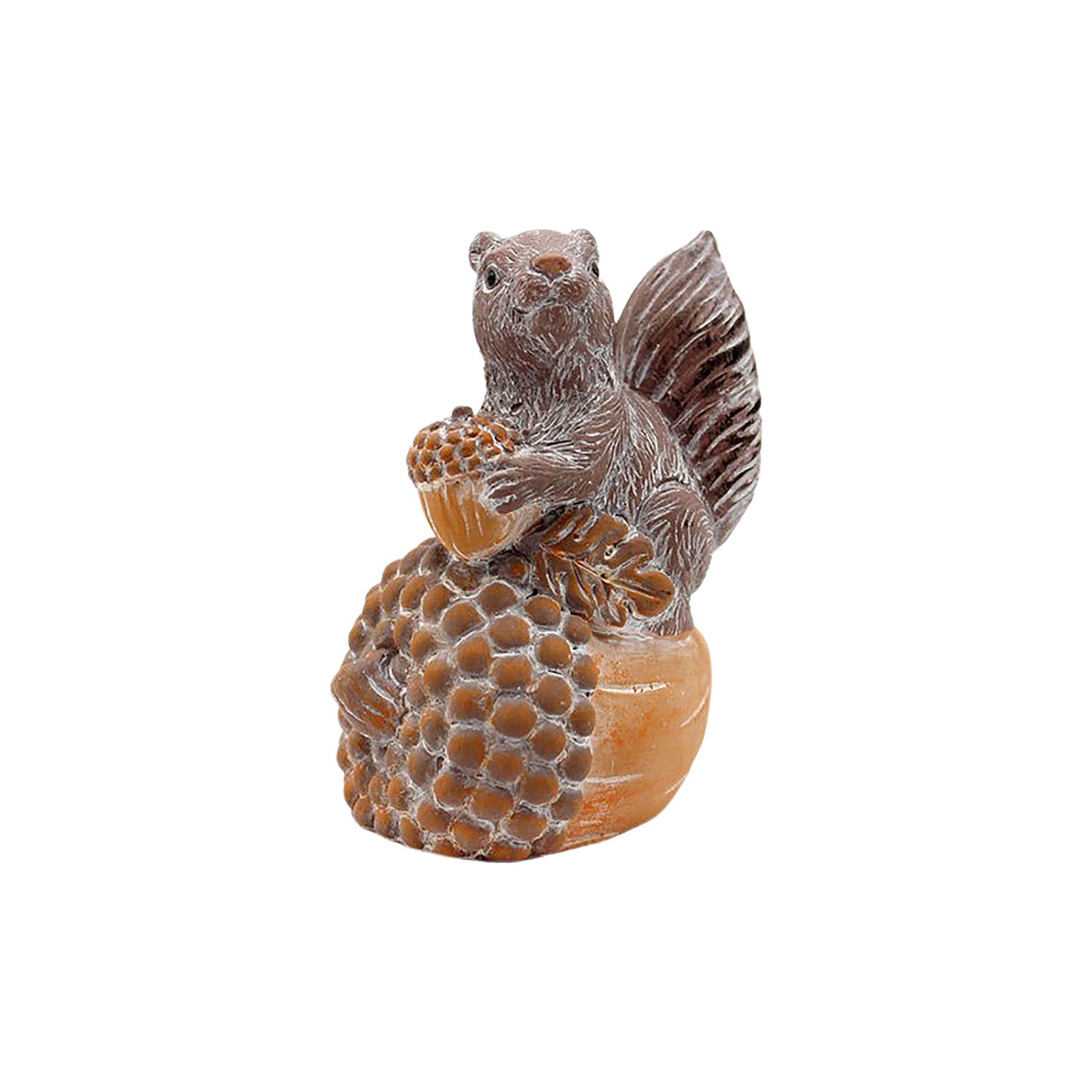 Squirrel on Acorn