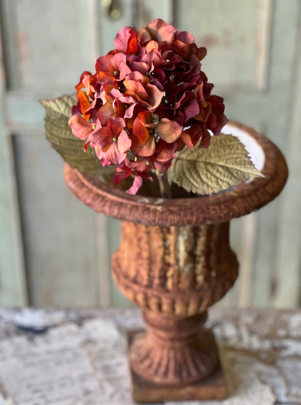 Rapture Hydrangea, Rusted Rose