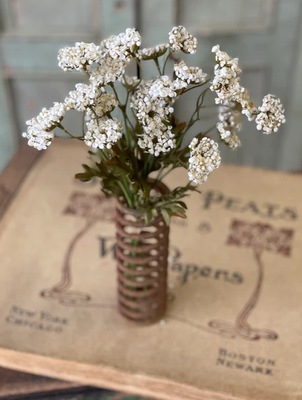 Fennel Flower Bundle, Cream