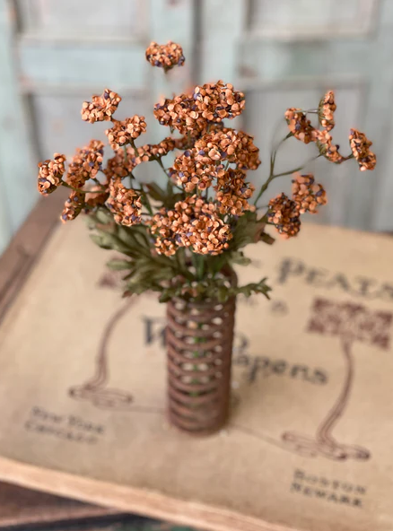 Fennel Flower Bundle, Pumpkin