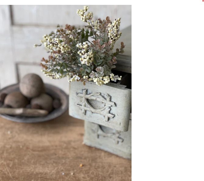 Crispin Berry Bush, Cream