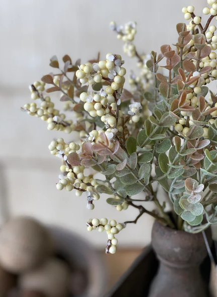 Crispin Berry Bush, Cream