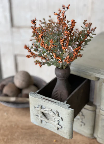 Crispin Berry Bush, Pumpkin