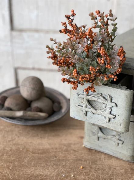 Crispin Berry Bush, Pumpkin