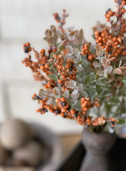 Crispin Berry Bush, Pumpkin