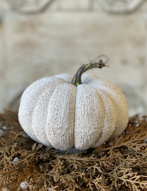 Full Moon Pumpkin, 6.5"