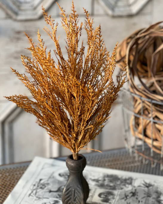 Wildthorn Bush, Maize
