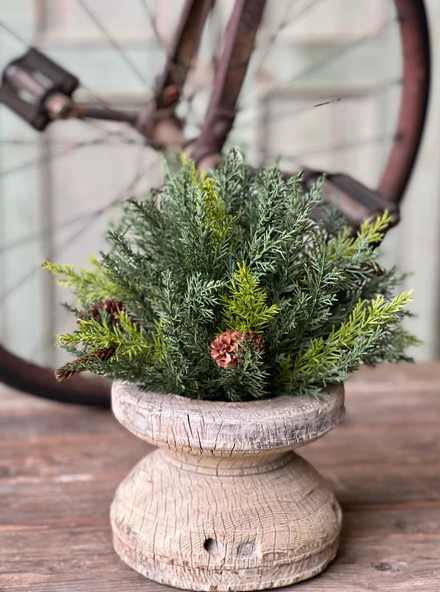 Prickly Pine Half Sphere, Green