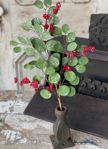 Currant Berry Eucalyptus Pick