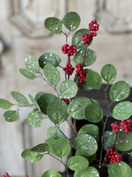 Currant Berry Eucalyptus Pick
