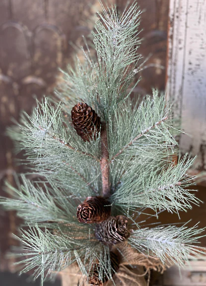 Shining Grandview Pine Tree