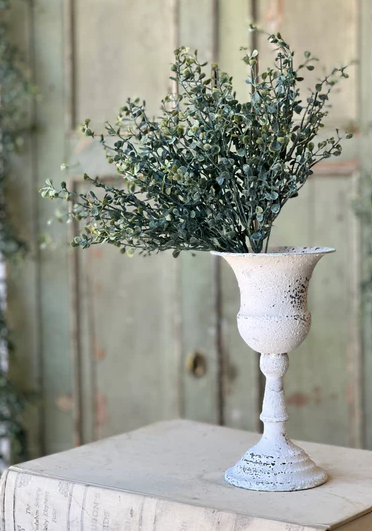 Baby's Twilight Bush