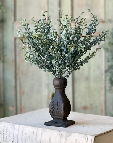 Baby's Twilight Bush