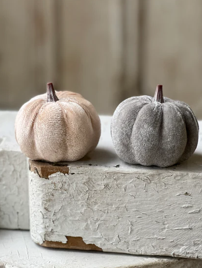 Velveteen Pumpkins, 2 colors