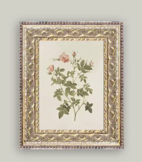 Rosa Framed Antique Art