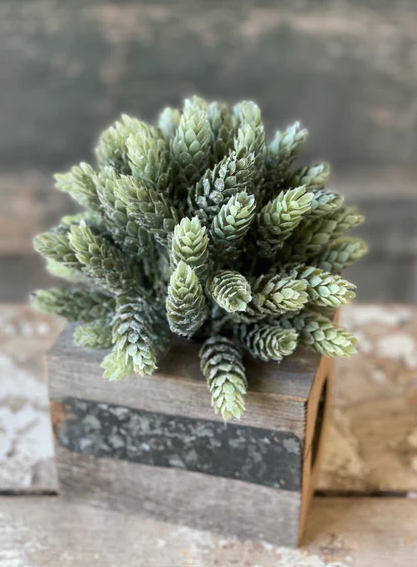 Frost Ridge Hops Half Sphere