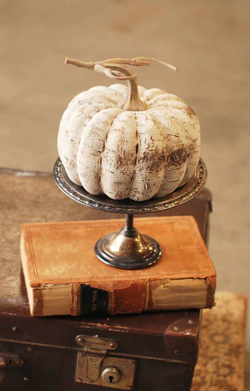 White Birch Pumpkin, Short