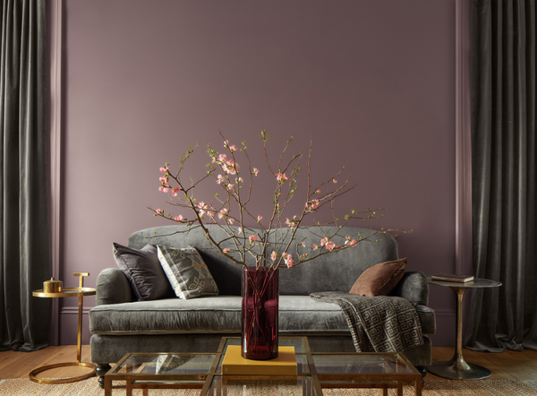 🎨 The Most Searched Paint Colors in August 2025: What's Hot Right Now