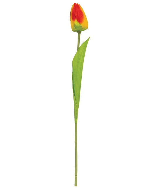 Sunset Tulip Stem, 15.5"