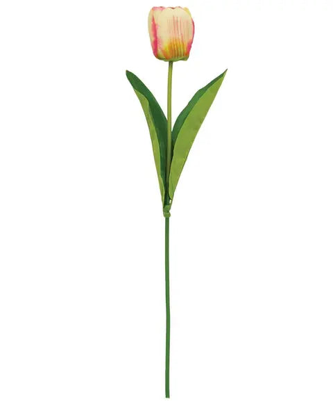 Champagne Tulip Stem, 17.5"