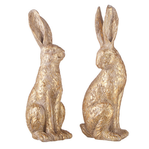 Gold Bunny, 2 styles