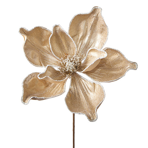 24" Iced Champagne Gold Magnolia Stem