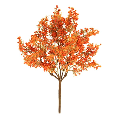 Mountain Ash Orange Berry Pick