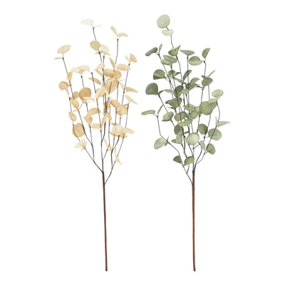 Green and Yellow Eucalyptus Pick