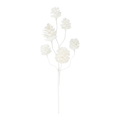 White Pinecone Stem