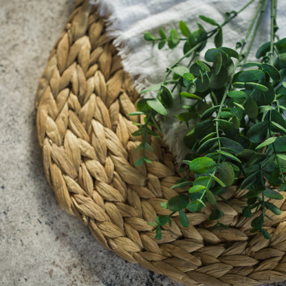 Eucalyptus Leaf Spray