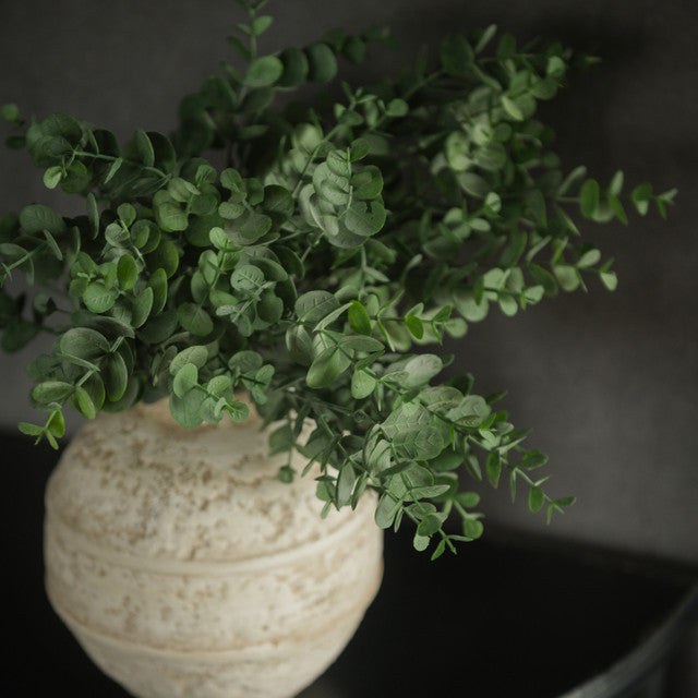 Eucalyptus Leaf Spray