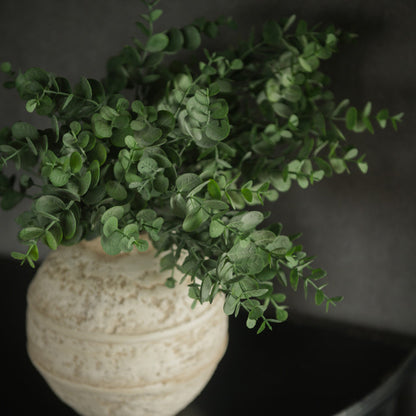 Eucalyptus Leaf Spray