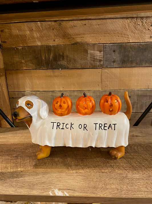 Halloween Light Up Dog