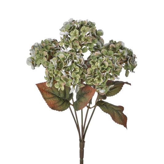 Mini Autumn Hydrangea Bush, Green