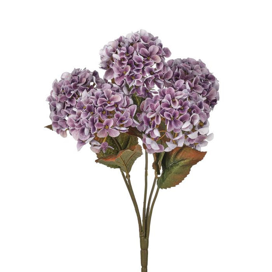 Mini Autumn Hydrangea Bush, Plum