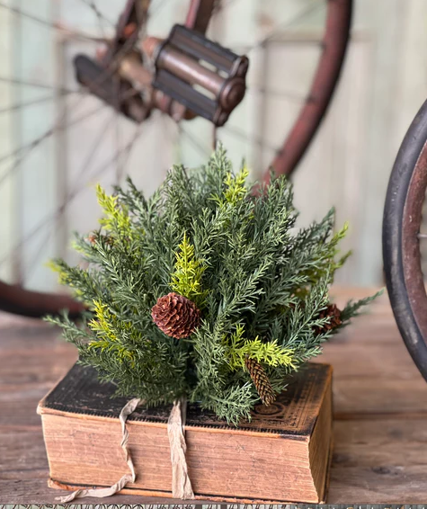 Prickly Pine Half Sphere, Green