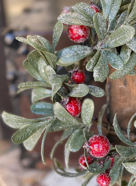 Crystalline Mistleberry Candle Ring