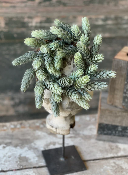 Frost Ridge Candle Ring