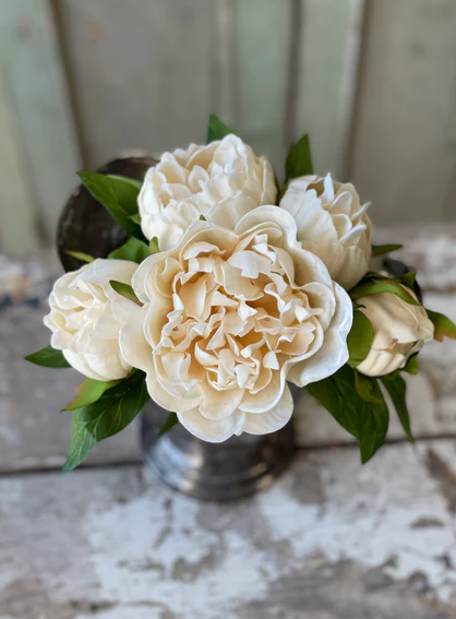 Peony Bundle, Cream