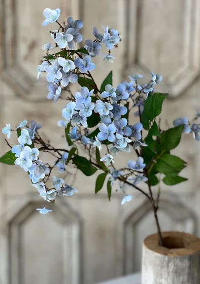 Canterbury Hydrangea, 3 colors