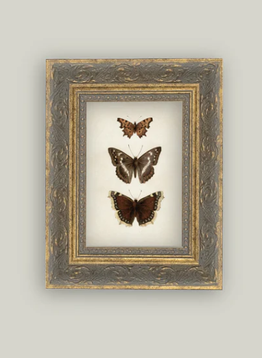 Three Butterflies