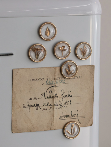 Botanical Magnets, 6 styles