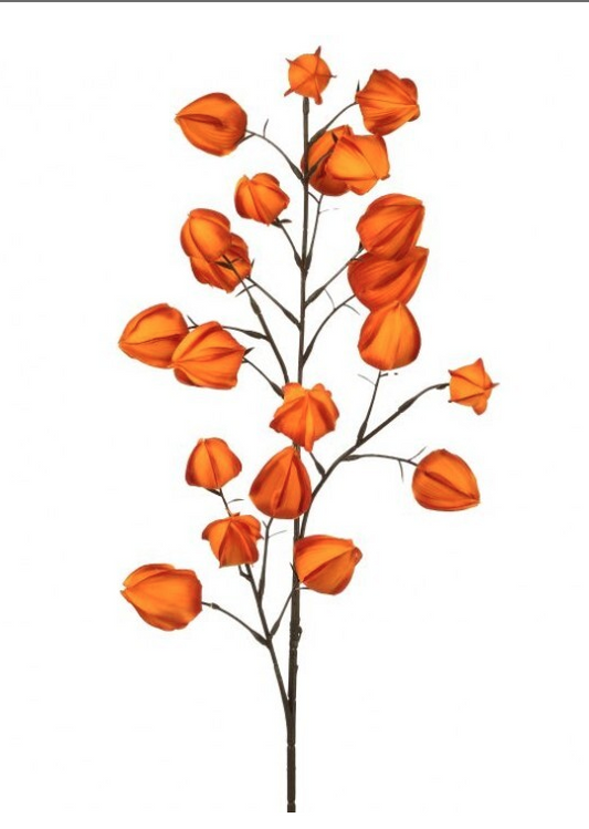 Autumn Lantern Spray, Orange